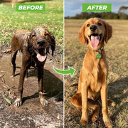 CleanPup™ | Geniet van je schone pup als nooit tevoren!